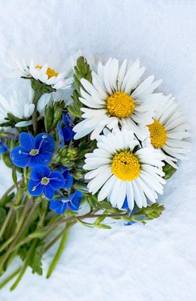 flower-item-6
